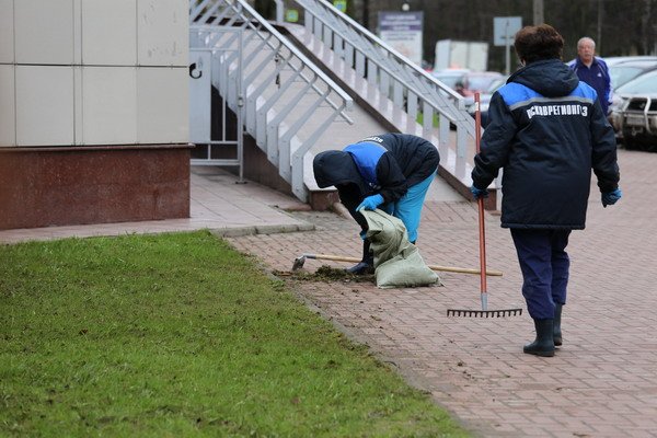 Сотрудники компании "Газпром межрегионгаз Псков" приняли участие в субботнике